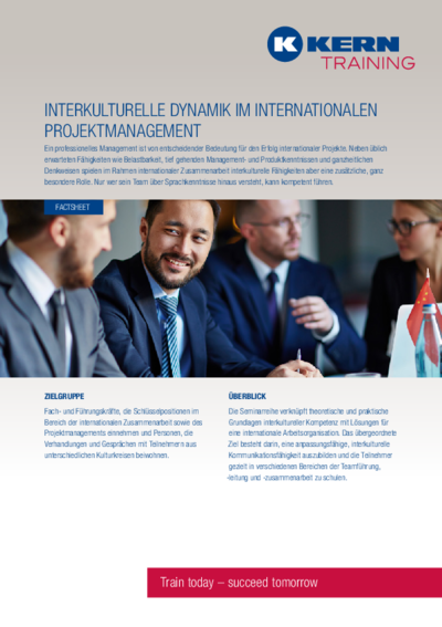 PDF Download Factsheet Interkulturelle Dynamik im internationalen Projektmanagement