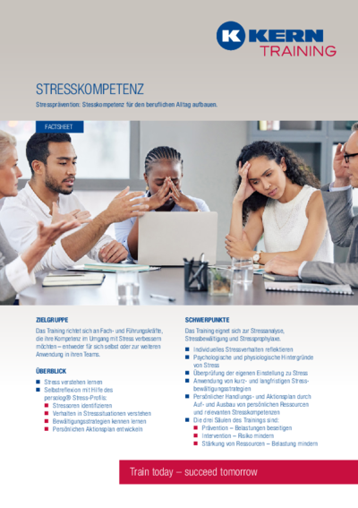 PDF Download Factsheet Stresskompetenz